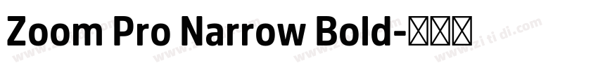 Zoom Pro Narrow Bold字体转换